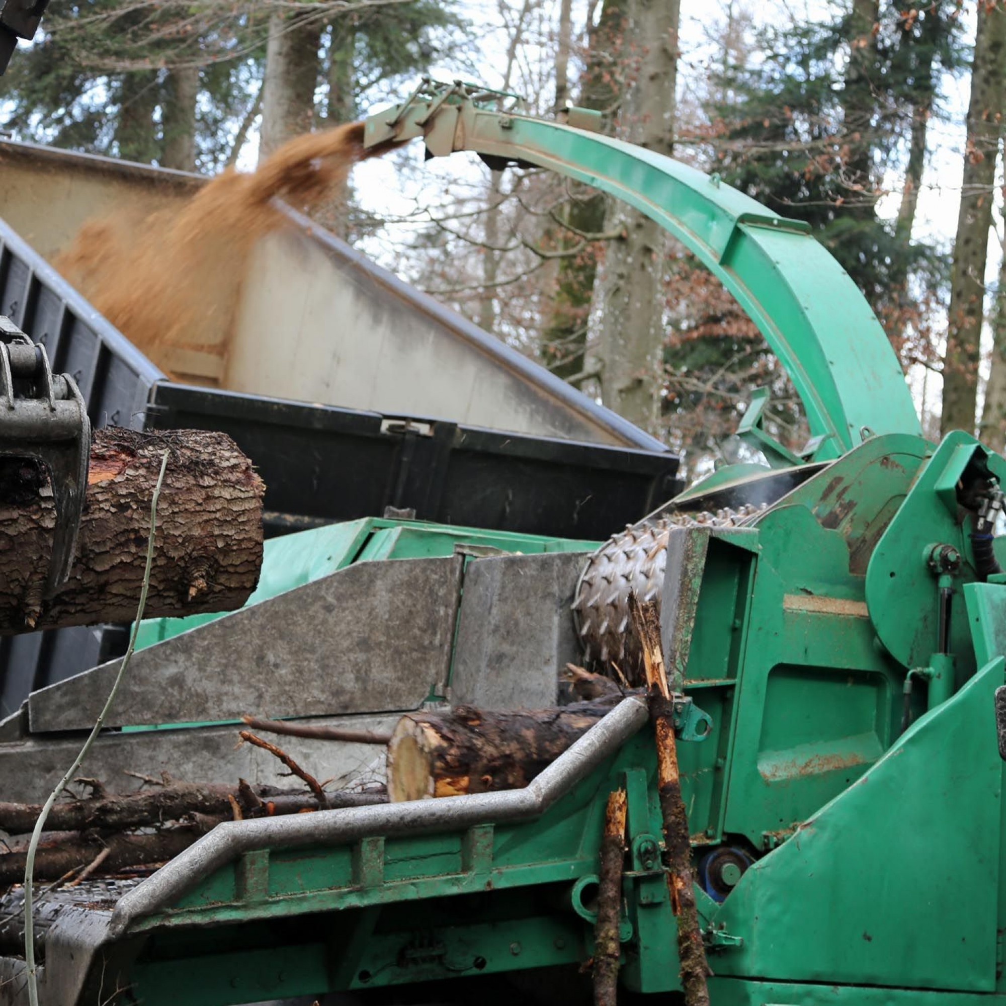 L’utilisation de bois-énergie suisse atteint un maximum en 2019