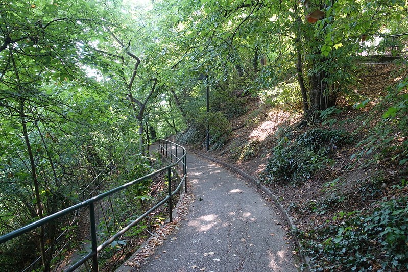 Bois de la Bâtie. Genève