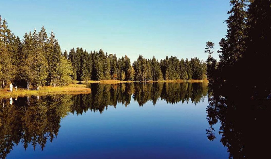 Etang Gruère 1