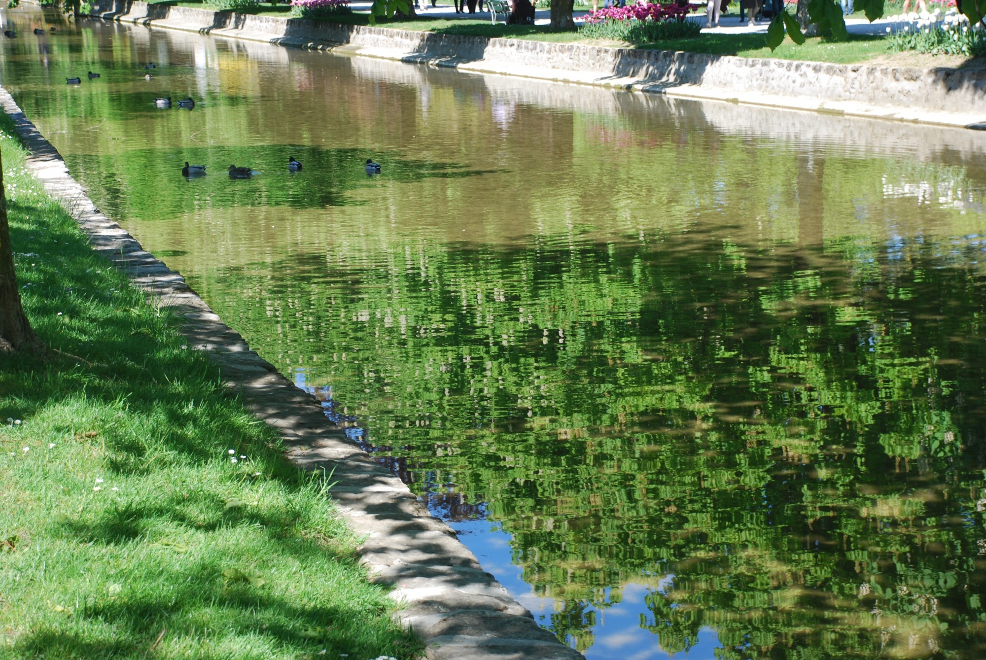 Morges rivière 1