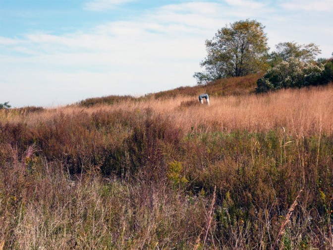 De nombreux projets de développement sont en cours au parc Freshkills de New York