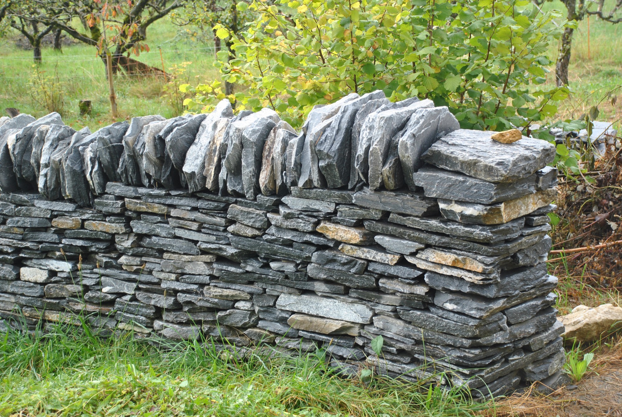 Murs en pierre sèche