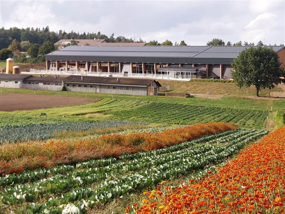 Ferme Grangeneuve