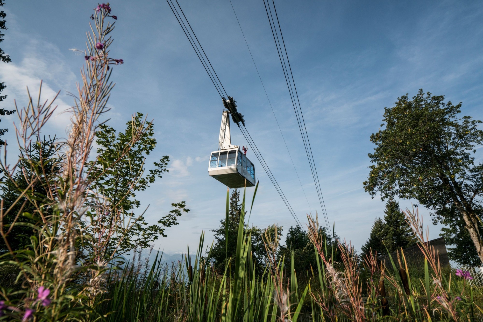 Téléphérique Weggis-Rigi-Kaltbad: Les chemins de fer du Rigi veulent remplacer le téléphérique Weggis-Kaltbad par une télécabine. Le projet est controversé.