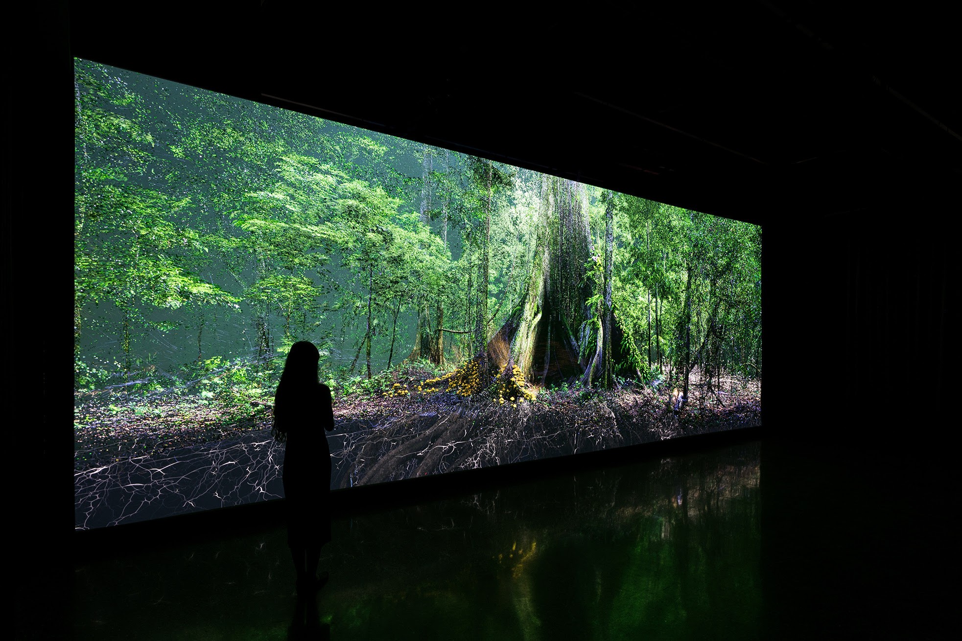 Le HEAL Institute, au niveau 4 de l'exposition, motive les pionniers à contribuer à la régénération de l'écosystème par le biais de la bioingénierie. Dans un premier temps, ils s'immergent dans la beauté de la nature : Les visiteurs découvrent les interac