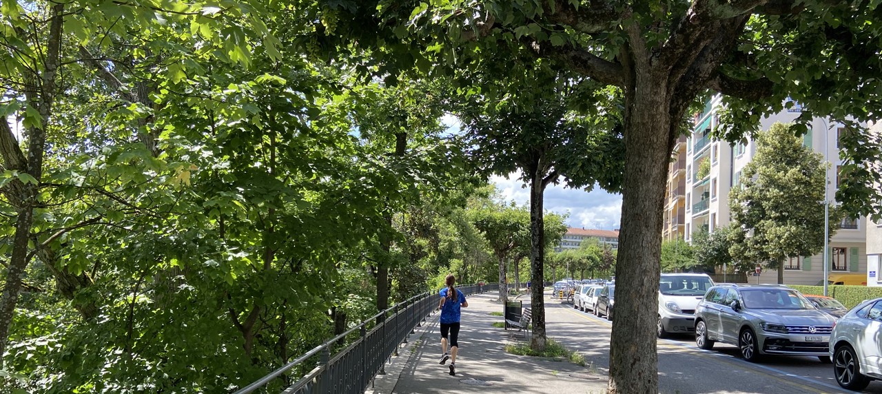 Les trottoirs de la rue de St-Léger et du quai Capo d’Istria ont aussi été remis à neuf. Sur le Quai Capo-D’Istria, le bitume à fait place à un revêtement en argilo-calcaire semi-perméable offrant une atmosphère naturelle et lumineuse.