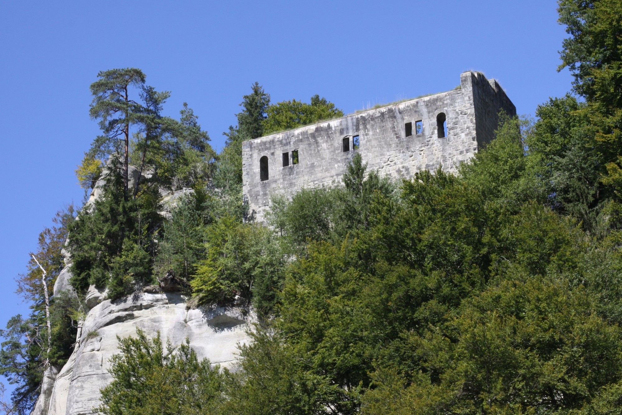 Le château de Grasburg a été construit vers 1220 ou 1230 et se trouve sur un éperon rocheux au-dessus des gorges de la Singine.