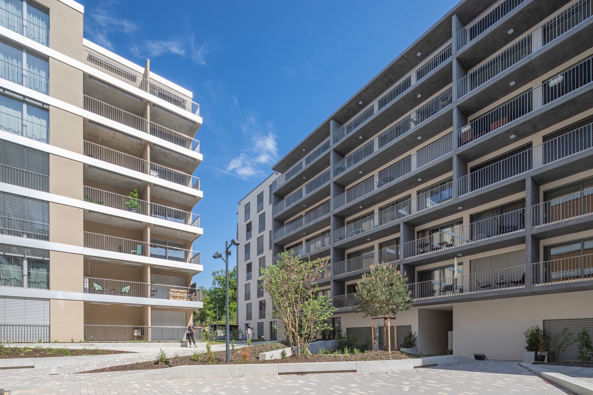 Le nouvel écoquartier Eglantine à Morges se compose de treize bâtiments.