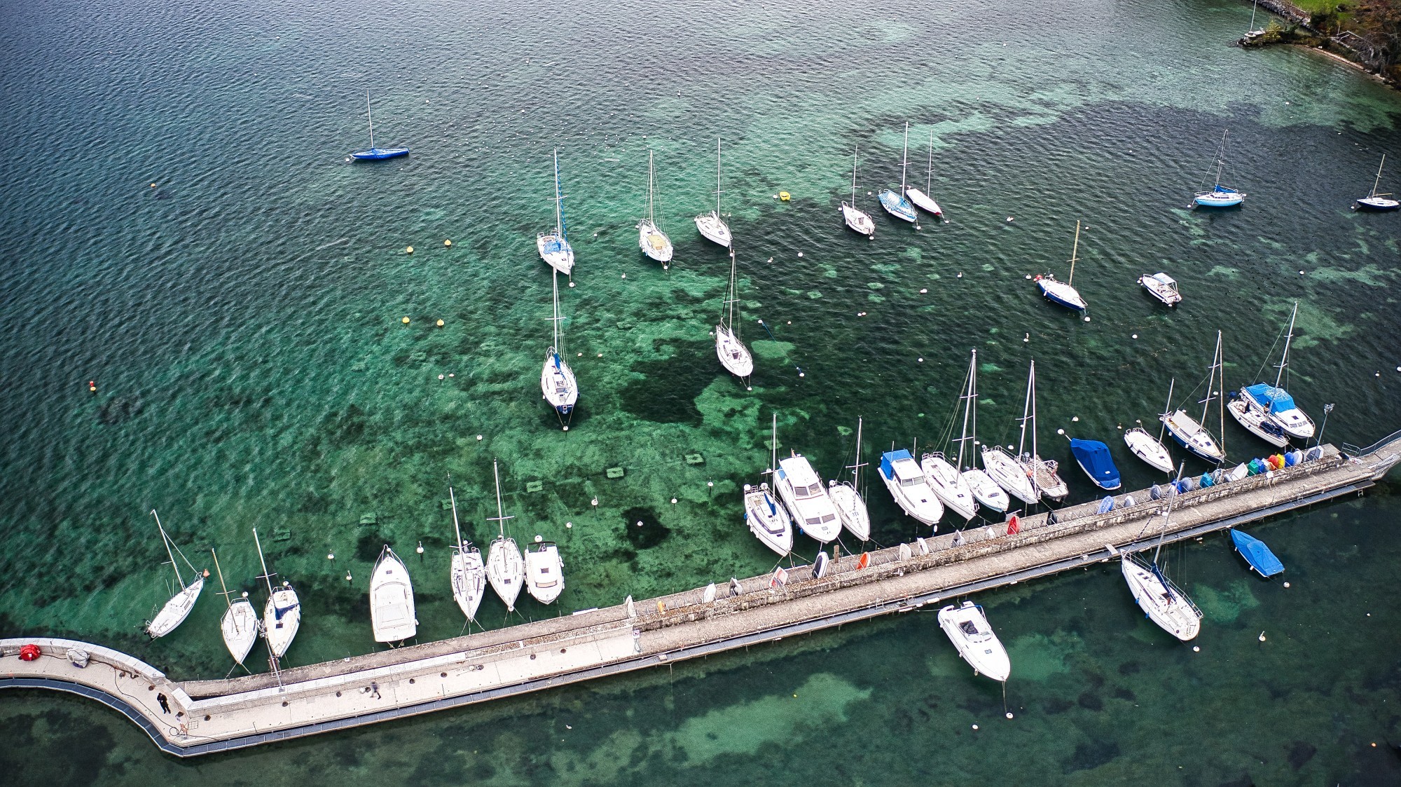 Environ 9000 m2 d’estacades (pontons d’accès aux bateaux) ont été nettoyés.