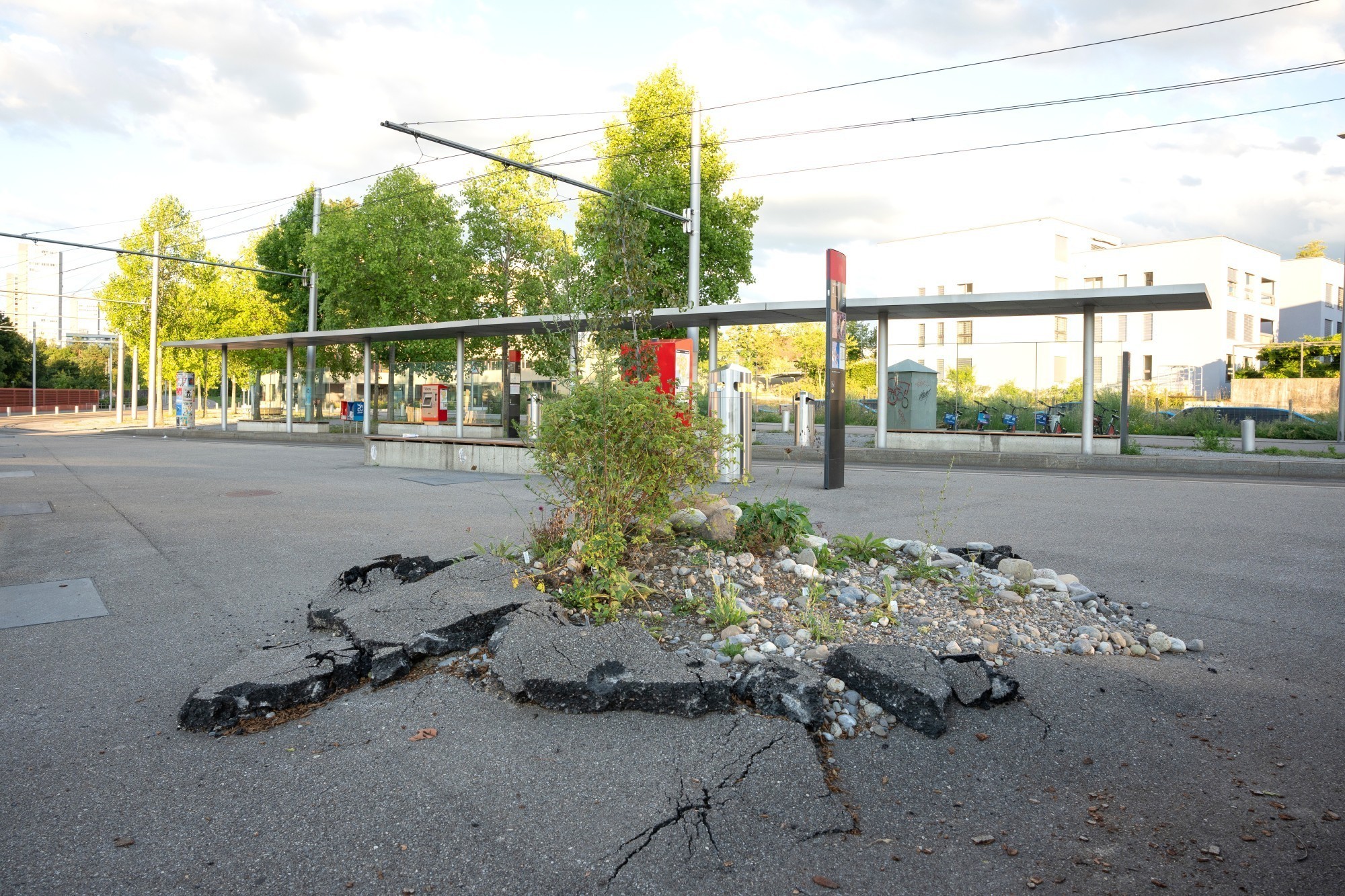 Dans le cadre de l'année thématique «La nature a besoin de la ville», de l'asphalte a été cassé près de l'Ansermetplatz afin d'attirer l'attention sur l'imperméabilisation excessive de sols précieux.