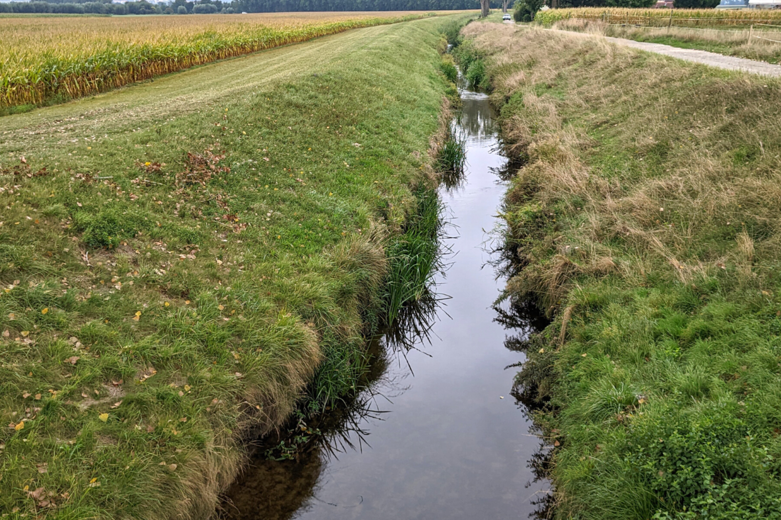 Petite Glâne VD