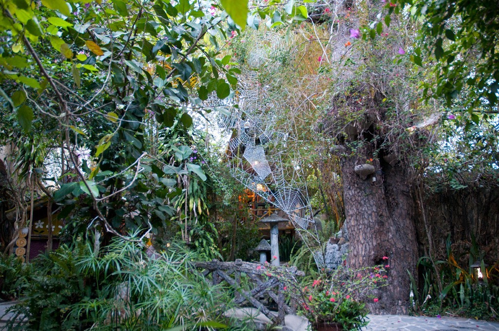 L'espace extérieur est richement planté et orné de sculptures évoquant des animaux, des champignons ou des toiles d'araignée.