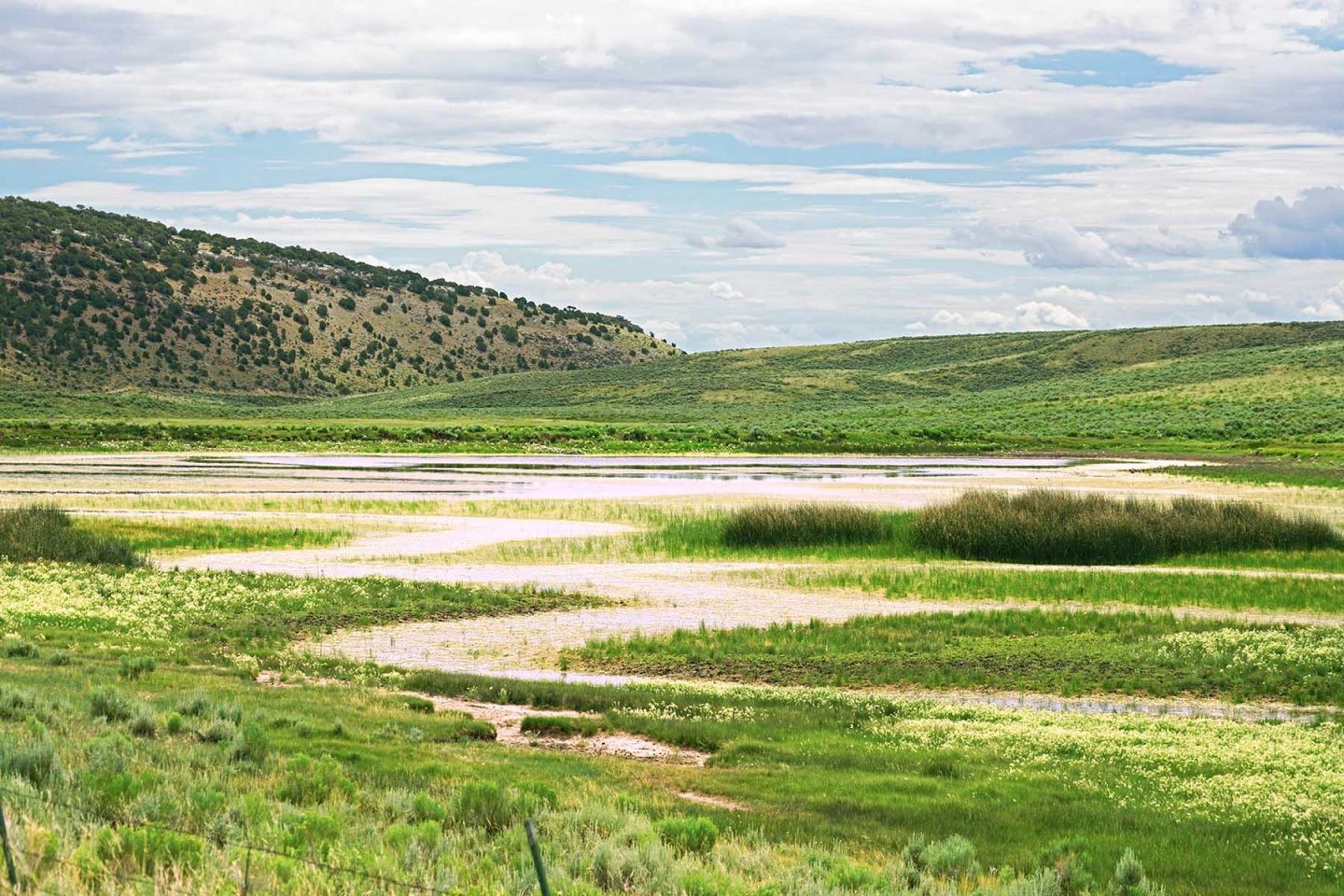 Le Three Springs Ranch s'étend sur 29 km de son extrémité nord à son extrémité sud. Il est situé dans une région dont le nom est pertinent: Dinosaur.