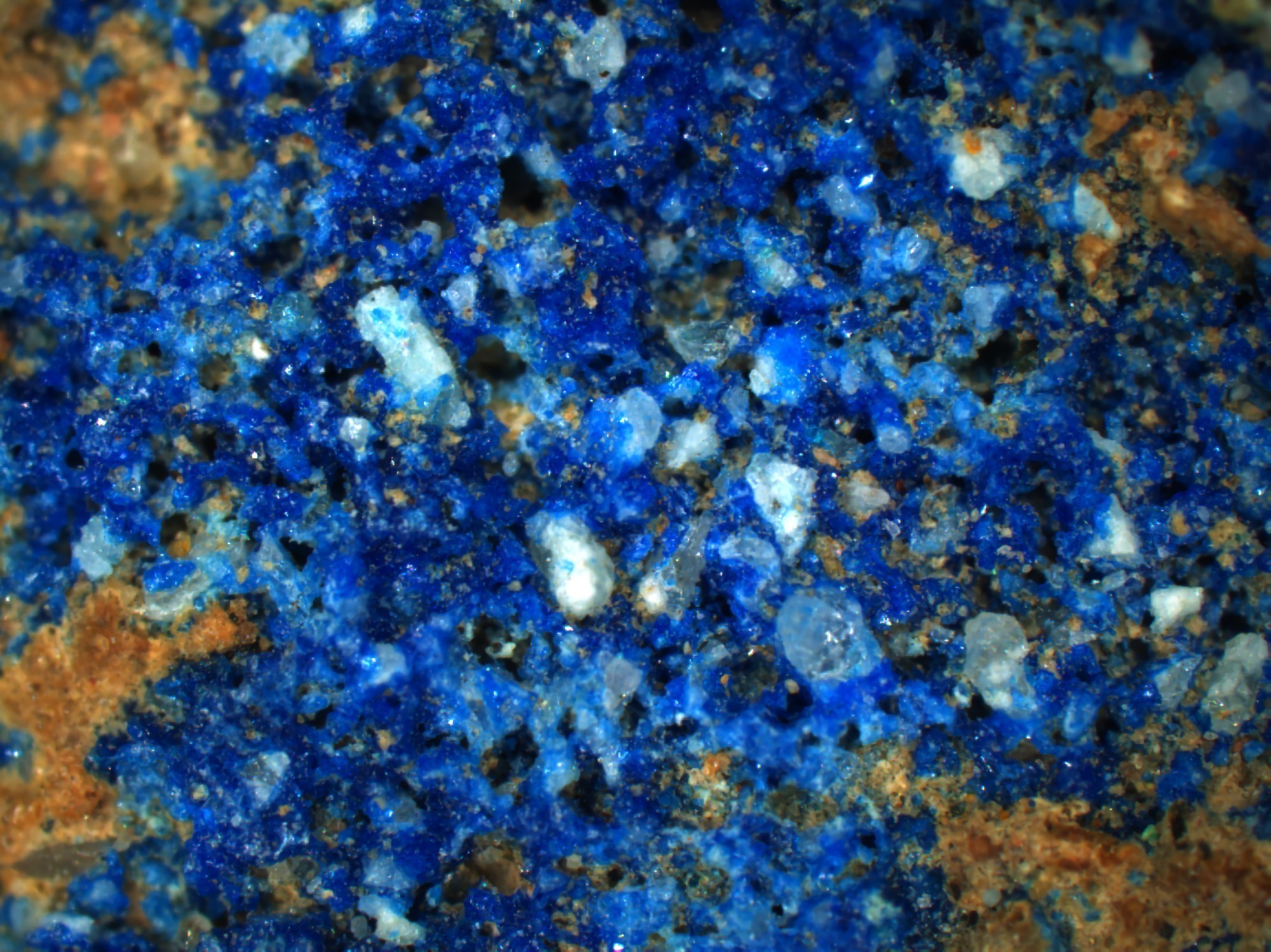 Image microscopique d'une sphère pigmentaire d'Augusta Raurica, réalisée dans le cadre du projet de recherche «Composants à l'état de traces dans le bleu égyptien».