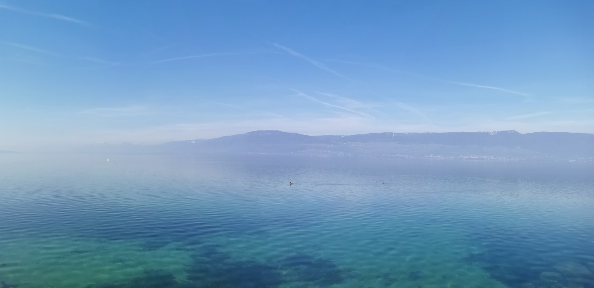 Eau lac Neuchâtel estavayer