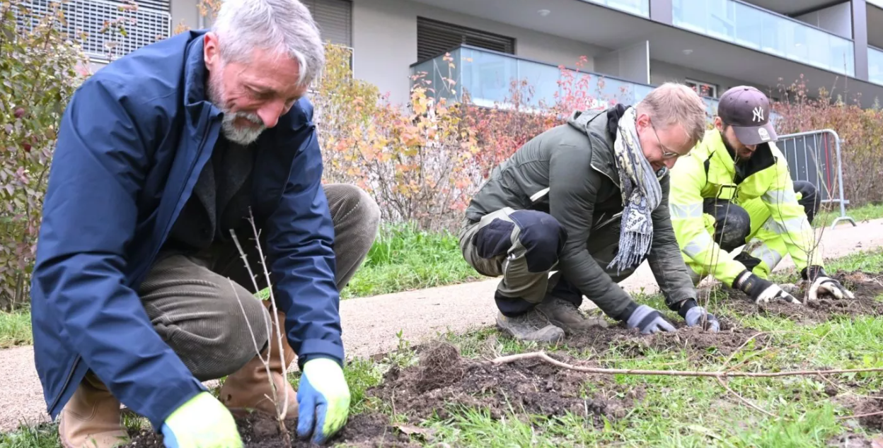 Pierre Wahlen, Municipal en charge de l’Environnement, Pascal Bodin, Chef de service, et David Erath, horticulteur-paysagiste et chef de secteur, le 30 novembre 2022, au parc de la Morâche.