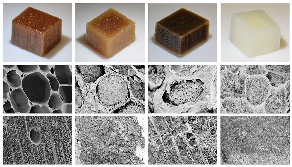 Le bois naturel se trouve à gauche de l'image. Les trois morceaux de bois à droite ont été soumis à différents traitements qui ont pour effet d'augmenter la surface et de réduire les pores, ce qui permet un transport rapide de l'eau à travers le matériau.