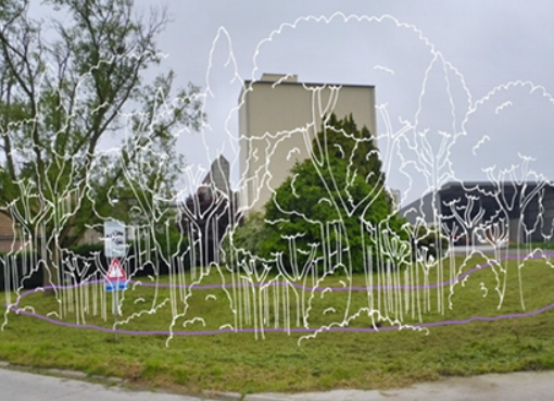 Un espace vert muni de dessins en blanc d'arbres représente la méthode Miyawaki utilisée pour améliorer la végétalisation des parkings genevois.
