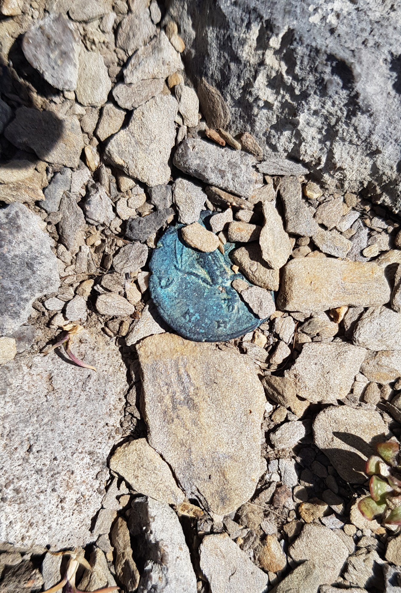 Une monnaie romaine découverte sur le lieu des fouilles par les archéologues cantonaux bernois.