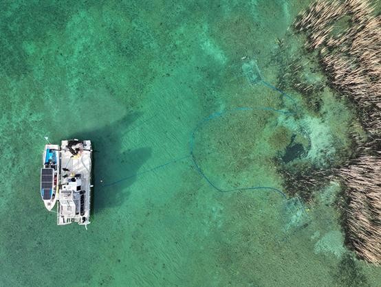 Fouilles subaquatiques dans la baie de Bevaix.