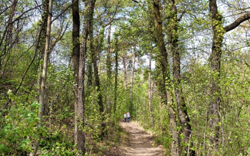 Petit-Bois Sierre