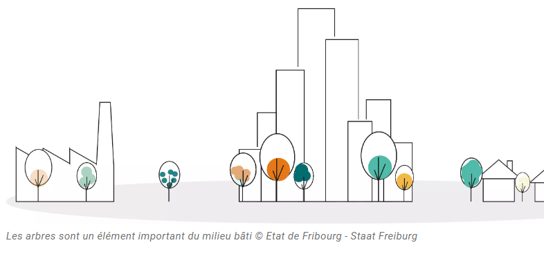 Les arbres en ville luttent contre les îlots de chaleur et améliorent la qualité de vie.