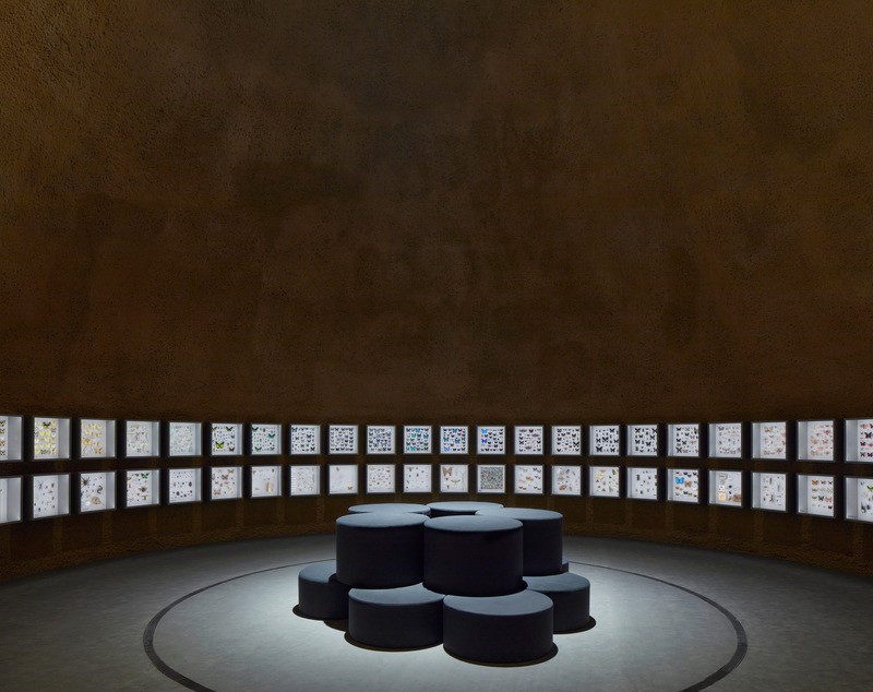 La collection de spécimens naturalisés de l’Insectarium est exposée dans une salle en forme de dôme de dix mètres de haut.