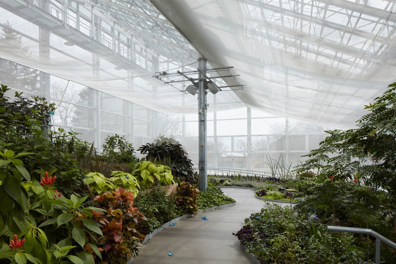 Le grand vivarium avec de nombreux insectes en liberté ravit les visiteurs de l'insectarium.