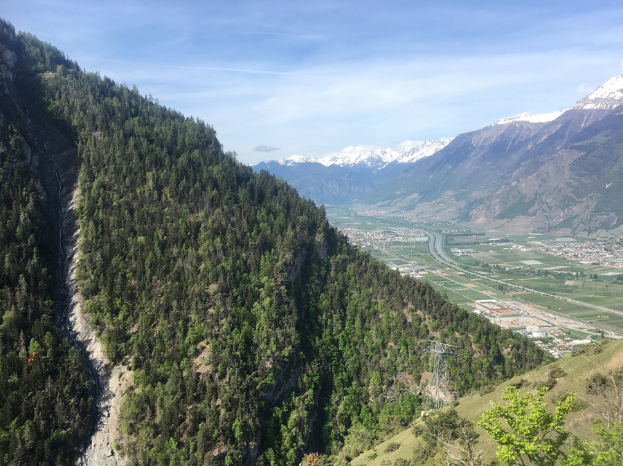 Le canton du Valais désire favoriser une évolution naturelle de la forêt par le biais de la création de réserves forestières en augmentant la diversité naturelle et maintenant certaines espèces rares au moyen de mesures ciblées.