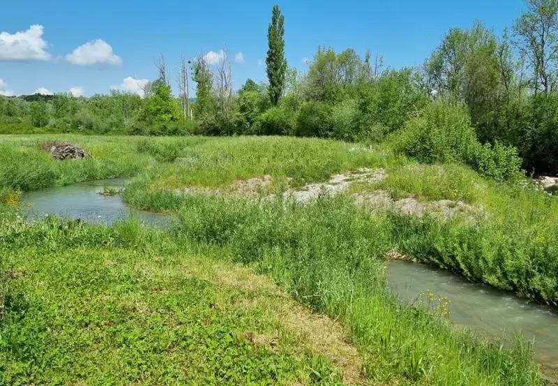 Ruisseau contournement Jogne