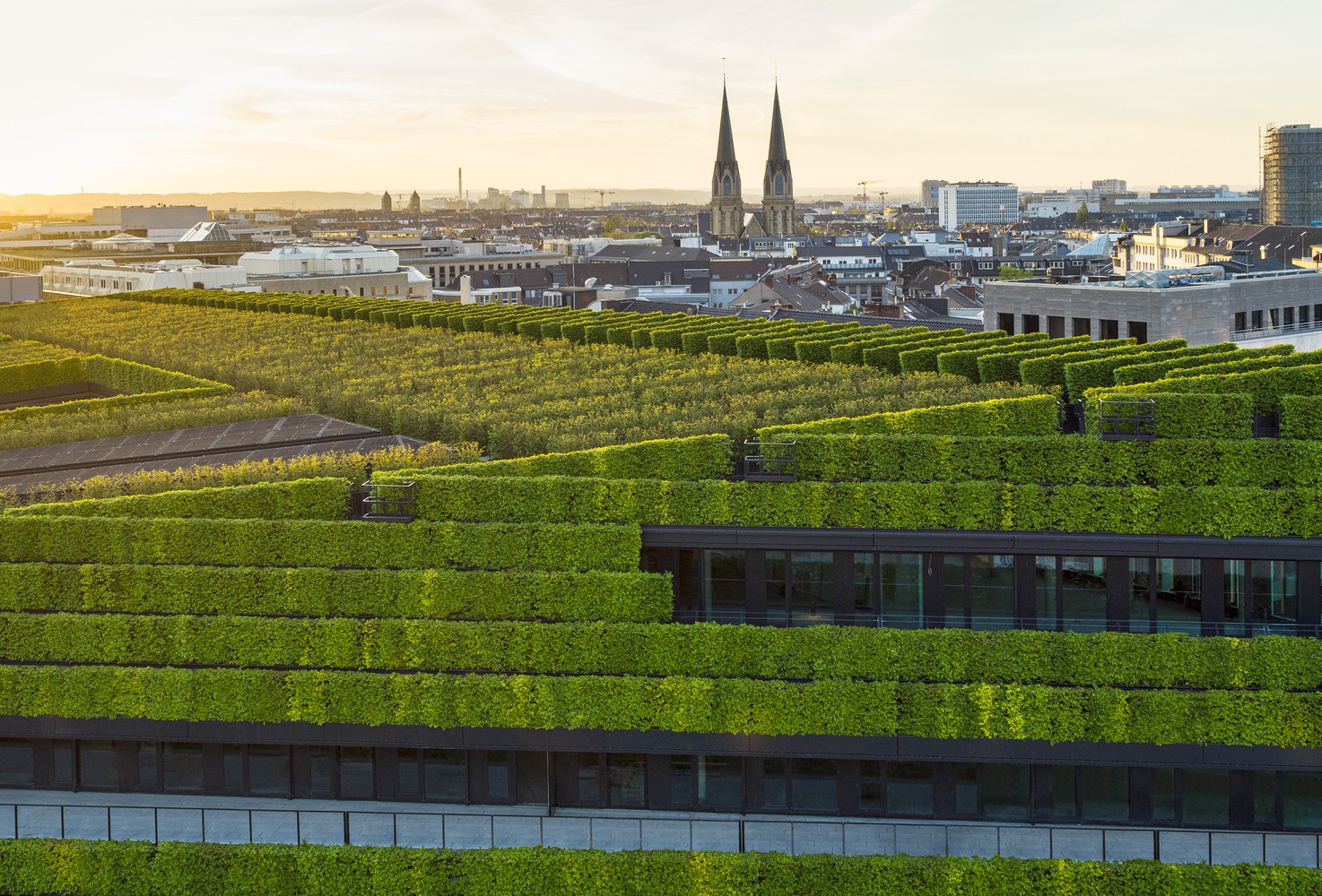 Marché vert Dusseldorf 3