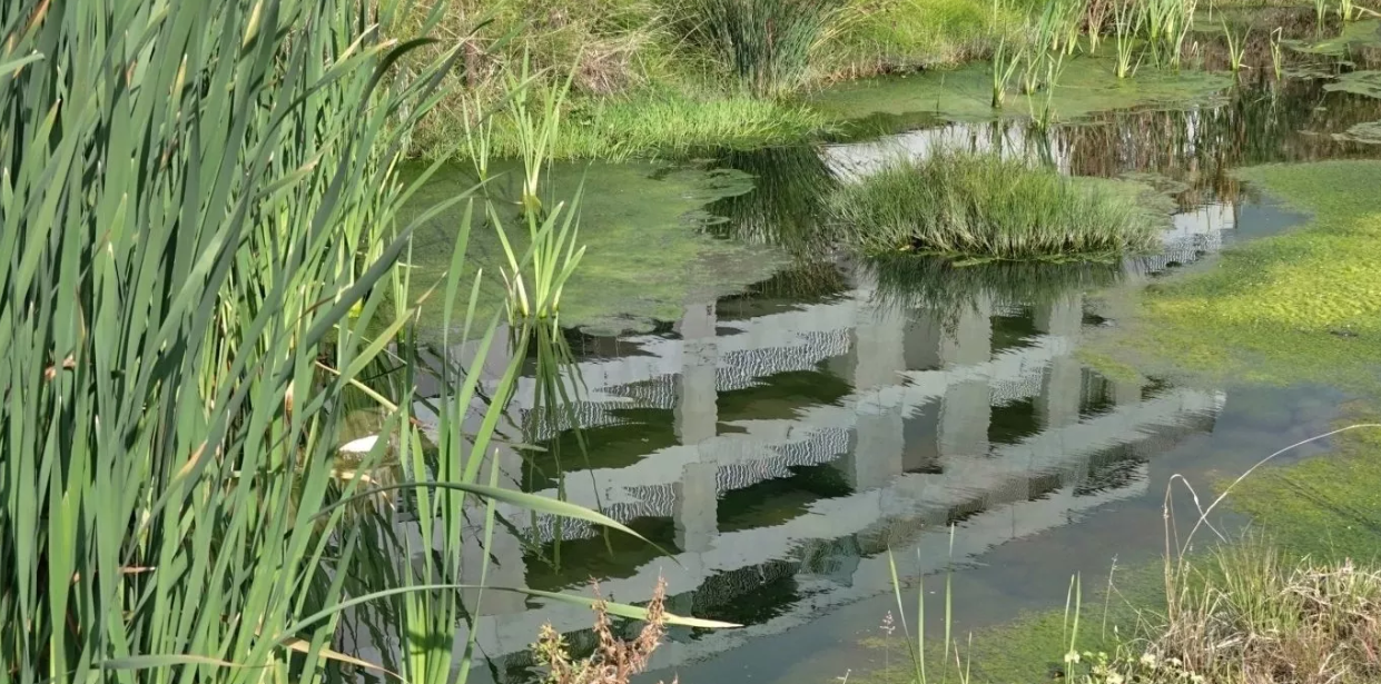 La ville de Nyon a renaturé le ruisseau le Corjon en 2021 dans la cadre de sa politique en faveur de la biodiversité et sa vision durable «Nyon s'engage».