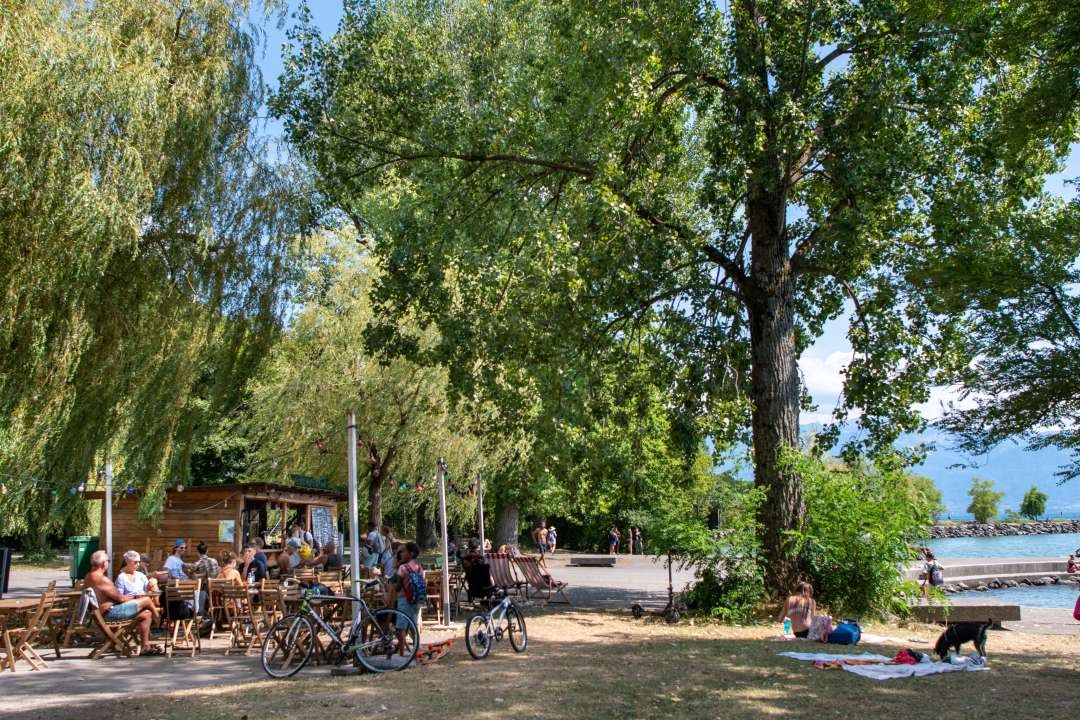 La buvette «La Guinguette de Vidy» au Bowl de Vidy proposera des promenades, des sports et des moments de détente en famille ou entre amis.