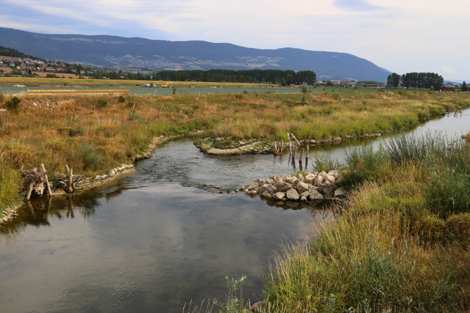 Vue de la Thièle après travaux de renaturation. Cette réalisation est un exemple à petite échelle des aménagements envisagés pour la troisième correction du Rhône.