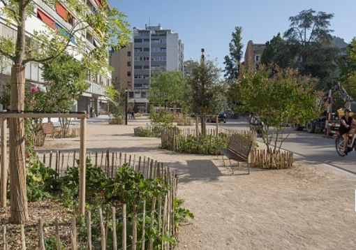 La création d’une nouvelle place piétonne, agrémentée d’une trentaine d’arbres fraîchement plantés, apporte une grande joie aux habitants de Genève.