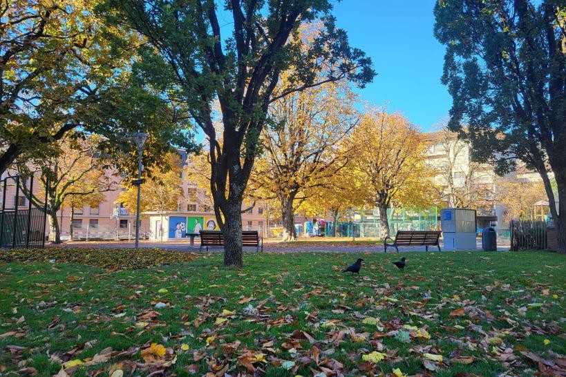 La Ville de Vevey veut faire de la place Robin un espace public attractif et vivant.