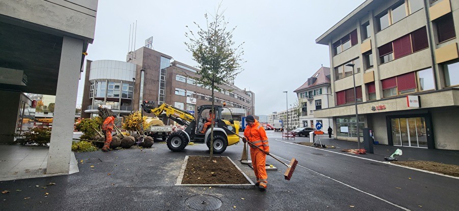 14 nouveaux arbres sont plantés ces jours à l'avenue de la Gare à Bulle.