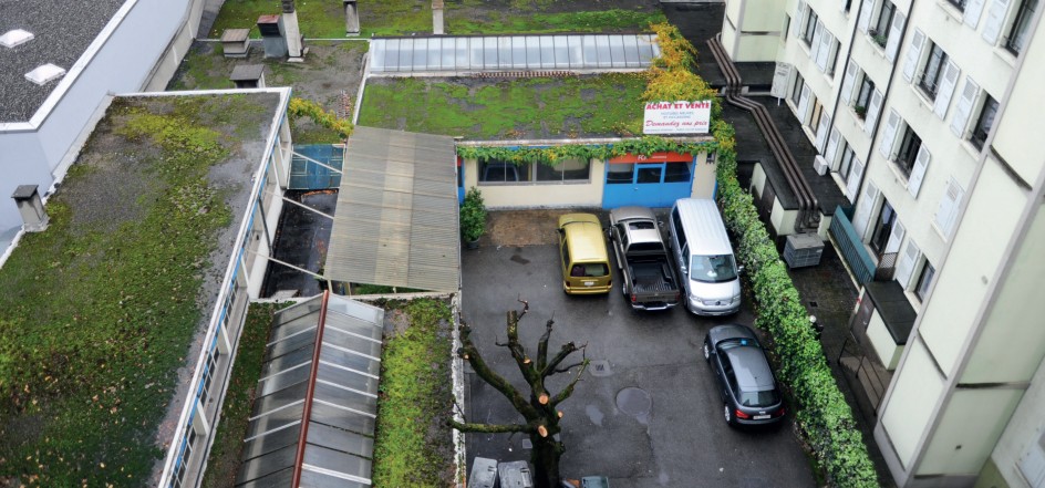 Nature en ville Genève