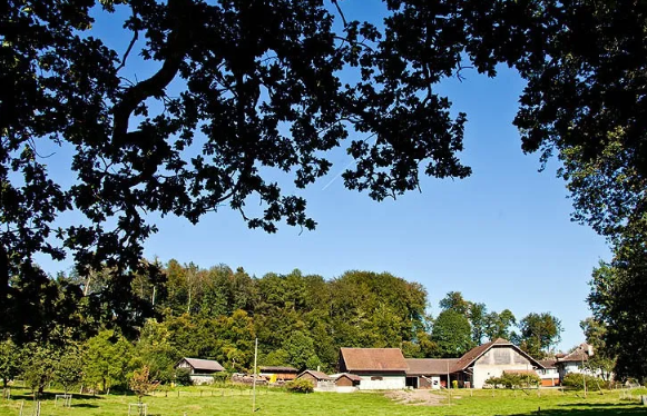 La ferme agroécologique de Rovéréaz  rénove et optimise son espace en se basant sur quatre piliers: agricole, pédagogique, social et économique.