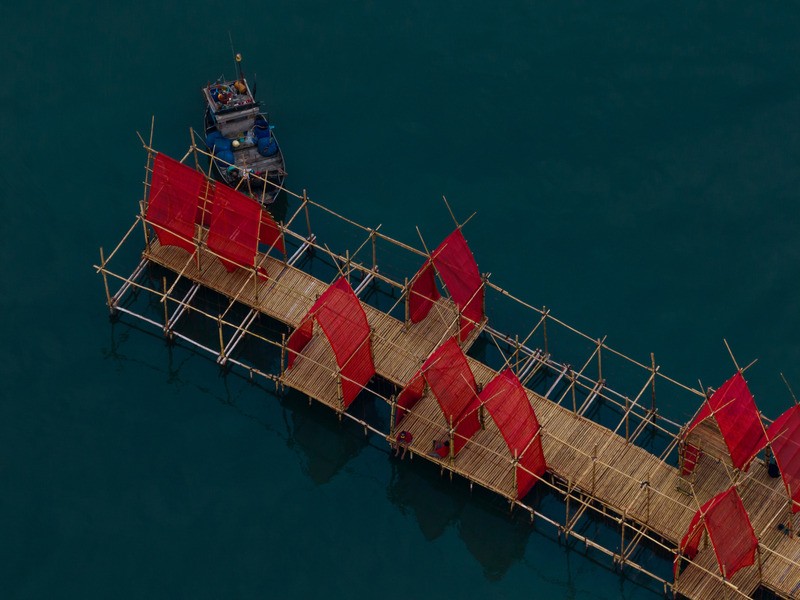 Un pavillon à huîtres a vu le jour dans les eaux tailandaises pour le plaisir des touristes et des locaux.