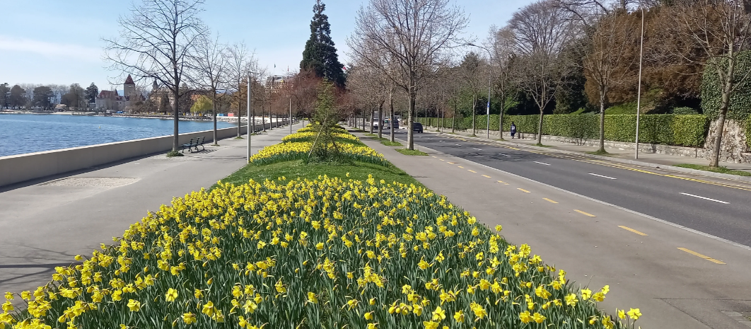 Les quais d’Ouchy totalement fleuris proposent aujourd’hui un nouveau visage au public et une avancée pour le climat.