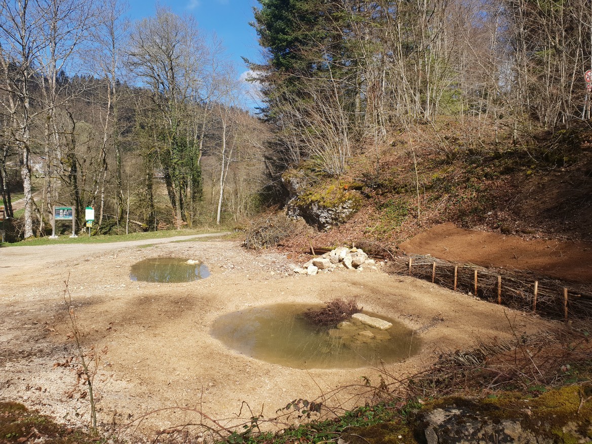 Un bout de nature retrouvé à Lucelle (JU) dans les forêts domaniales grâce à la participation des apprentis forestiers-bûcherons de 2ème année.