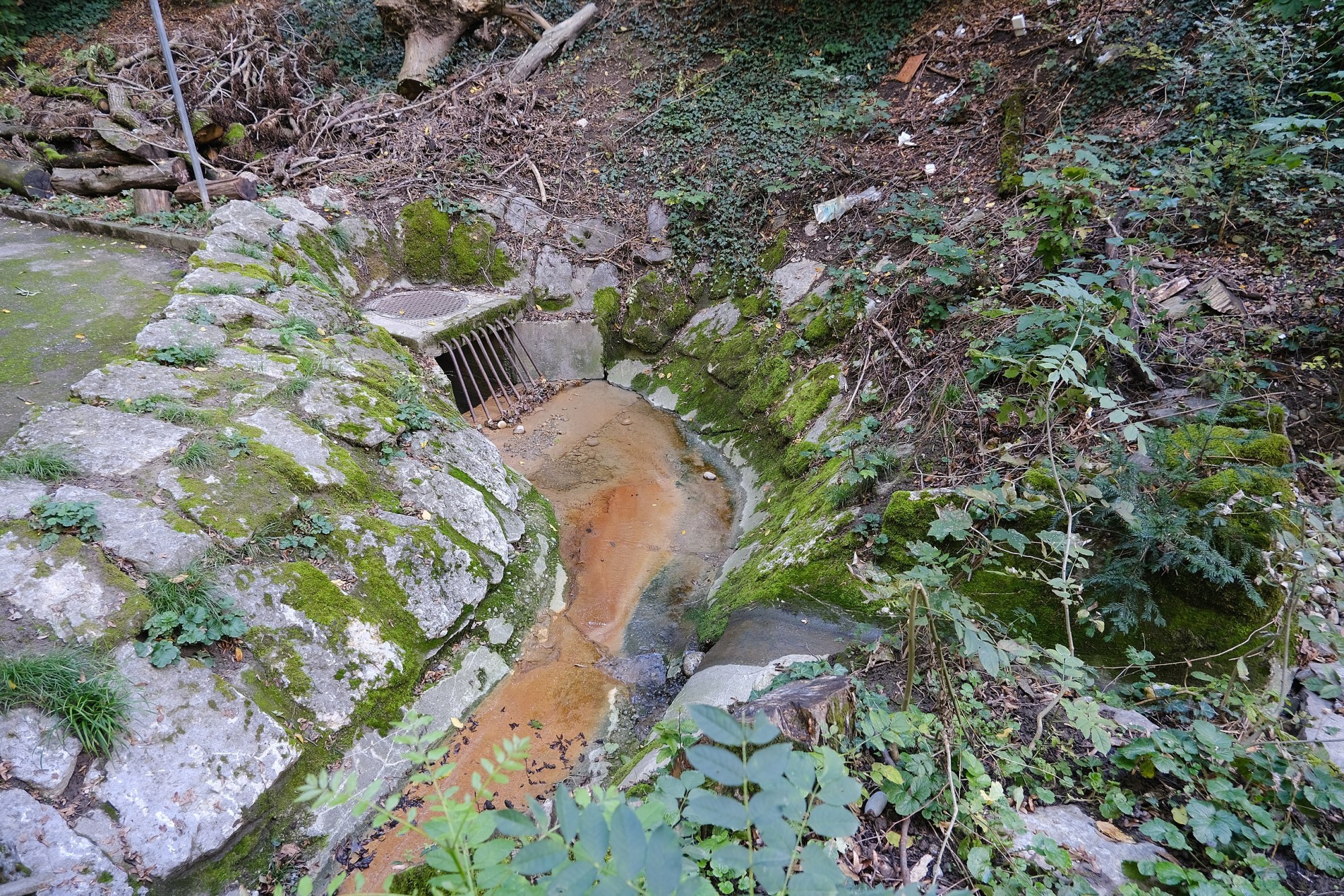 Ruisseau Nant Manant Bâtie Genève