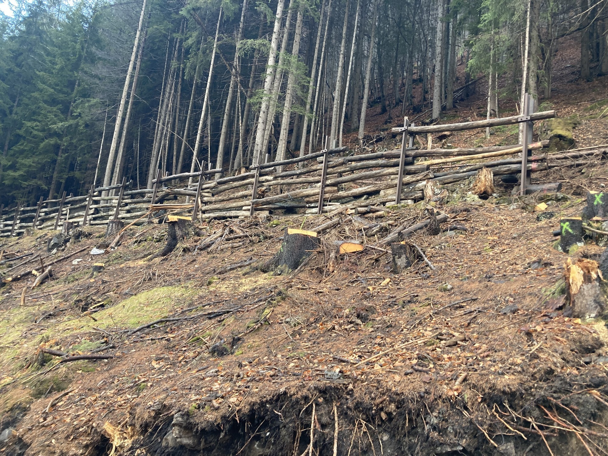 L’ouvrage de protection contre les chutes de pierres, composé d’éléments en bois près du Gruobenwald, à l’extérieur de Klosters, a été démonté entre-temps.