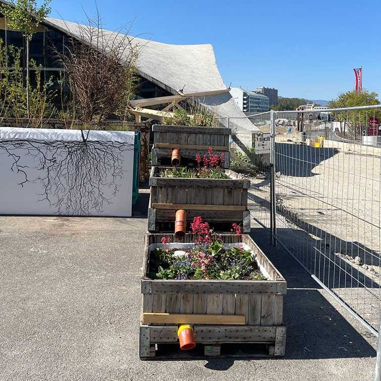 Hepia jardin planète Genève 2