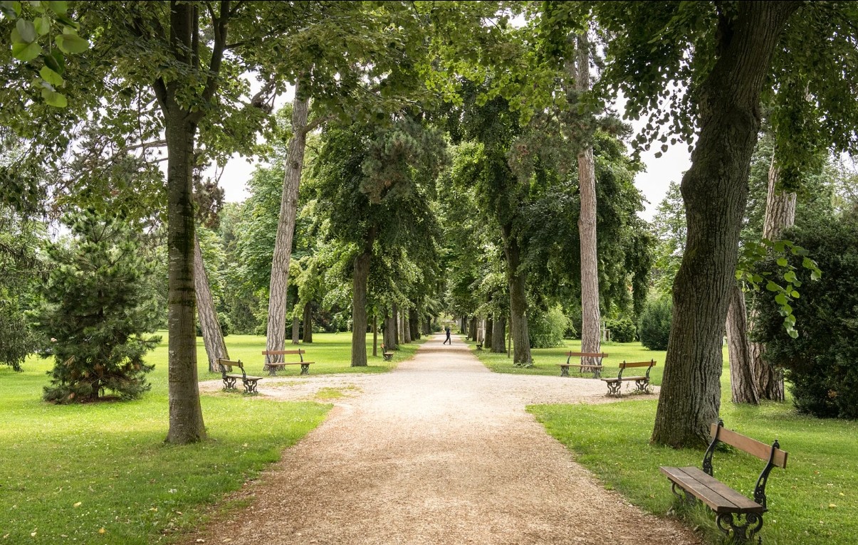Situé dans le quartier de Saint-Jean, le Kannenfeldpark, plus grand parc de la Ville de Bâle, s'est distingué par son aménagement exemplaire, lui valant le Prix Schulthess des jardins 2025.