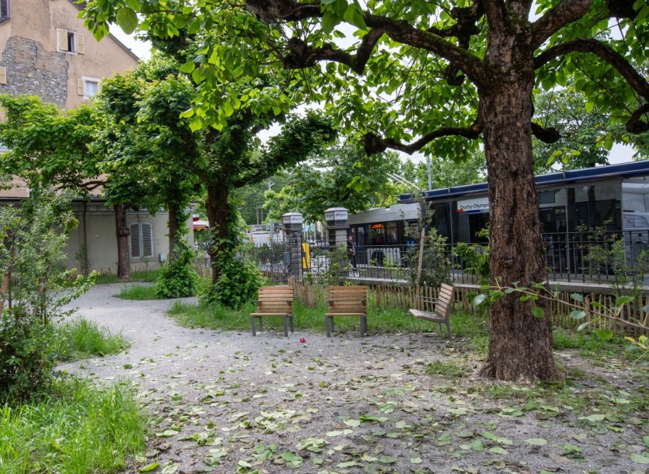 Un parking transformé en jardin public végétalisé et abrité à Ouchy.