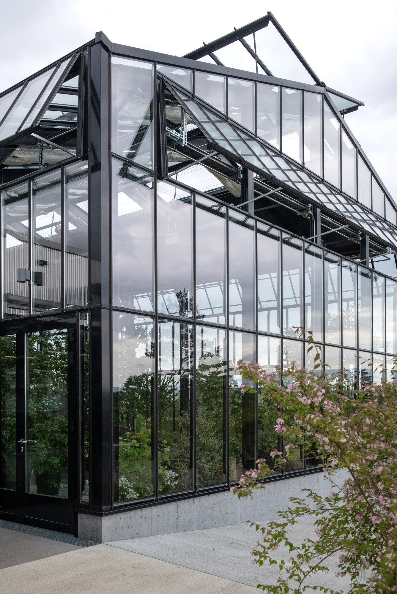 La Pépinière Jacquet a dévoilé un tout nouvel espace d’accueil et une serre unique à Genève.