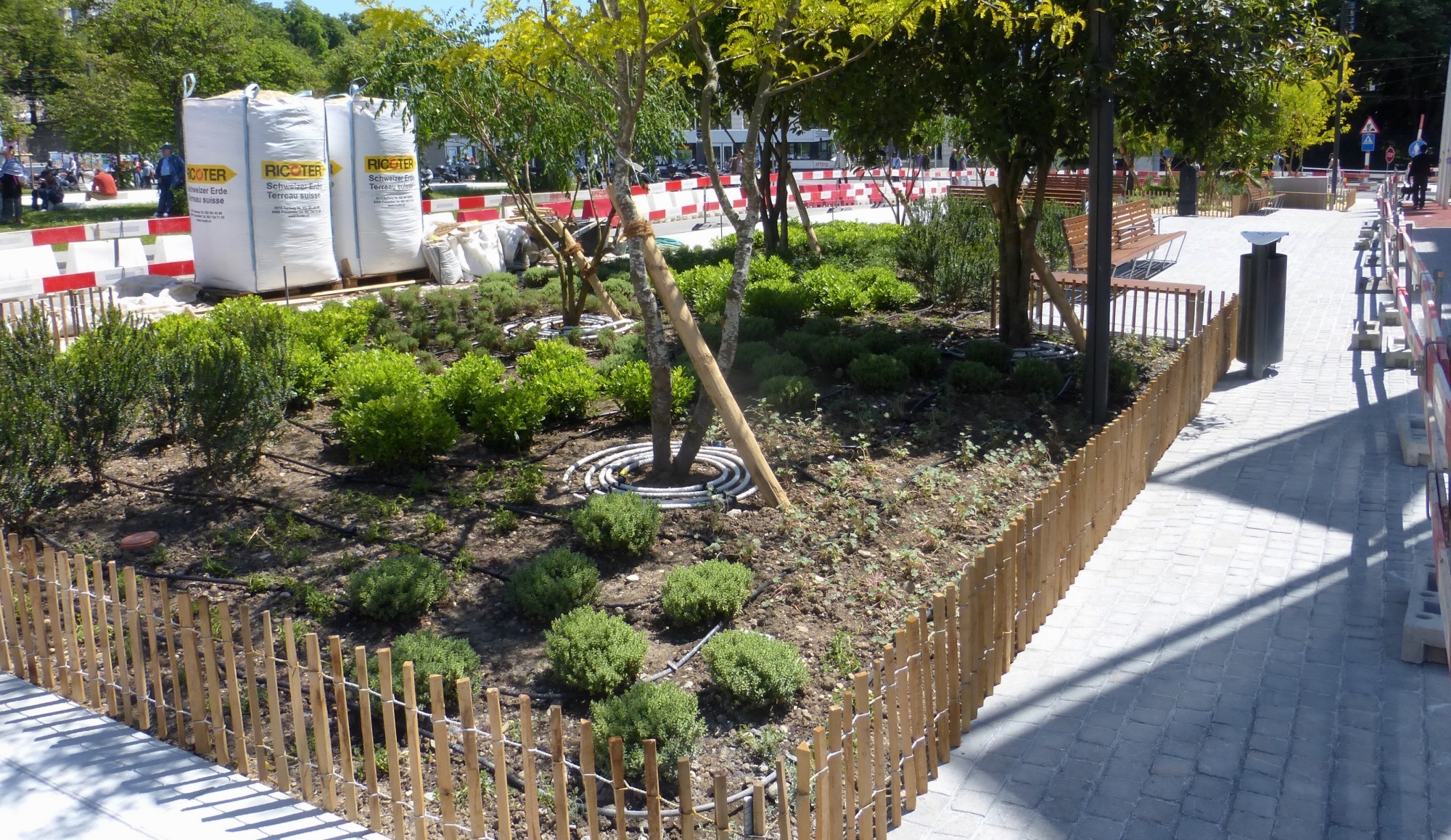 arbres geneve
