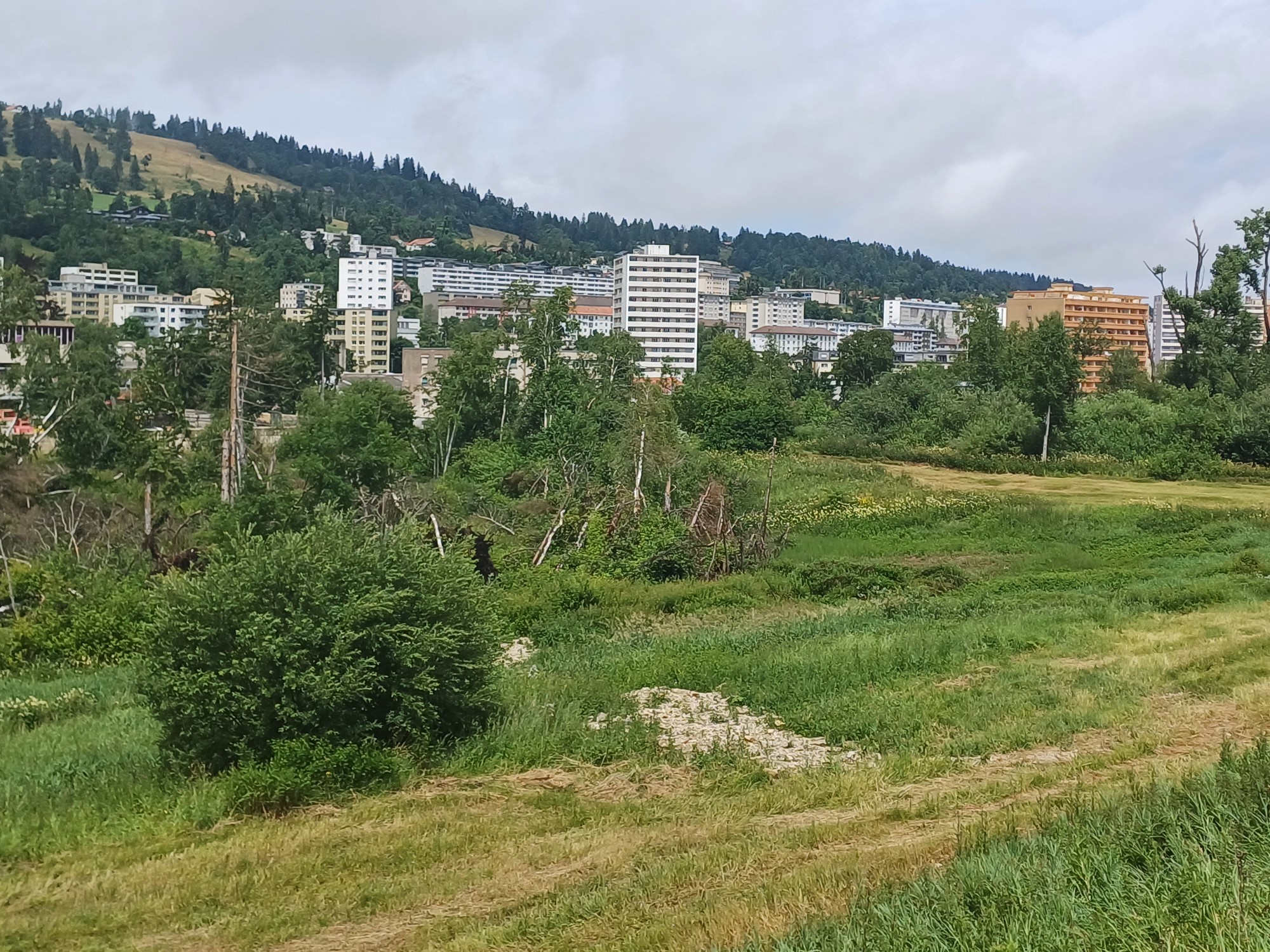 Tempête Chaux-de-Fonds 2